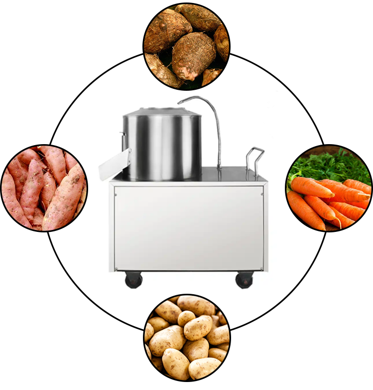 éplucheuse de pommes de terre17