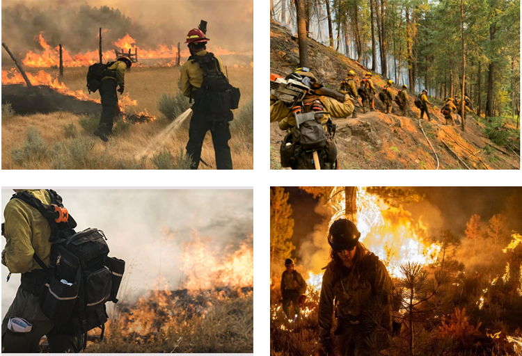 Extincteur de Feu de Forêt18