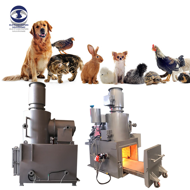 La nécessité d’incinérer les carcasses d’animaux et de volailles par rapport à l’enterrement